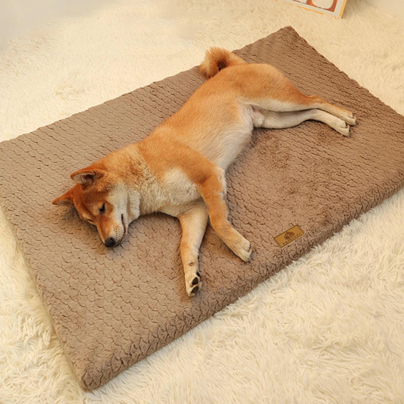 Dog Sleeping Mat